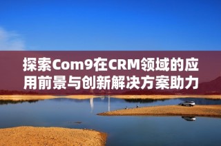 探索Com9在CRM领域的应用前景与创新解决方案助力企业发展