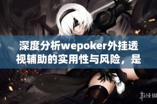 深度分析wepoker外挂透视辅助的实用性与风险，是否值得使用的全面探讨