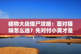 植物大战僵尸攻略：面对猫咪怎么选？先对付小黄才是王道！