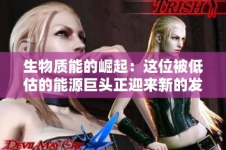 生物质能的崛起：这位被低估的能源巨头正迎来新的发展机遇