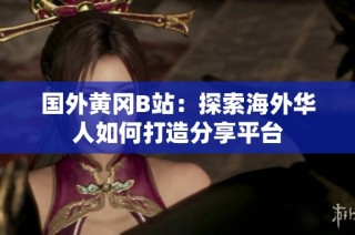 国外黄冈B站：探索海外华人如何打造分享平台