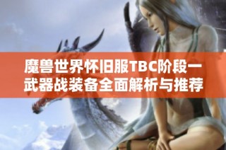 魔兽世界怀旧服TBC阶段一武器战装备全面解析与推荐