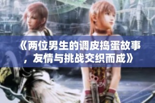 《两位男生的调皮捣蛋故事，友情与挑战交织而成》