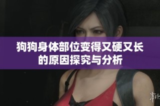狗狗身体部位变得又硬又长的原因探究与分析