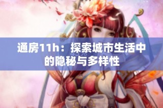 通房11h：探索城市生活中的隐秘与多样性