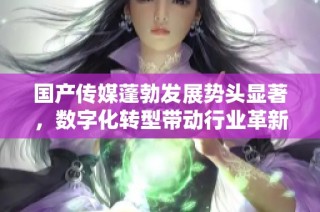国产传媒蓬勃发展势头显著，数字化转型带动行业革新