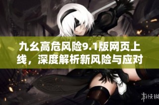 九幺高危风险9.1版网页上线，深度解析新风险与应对策略