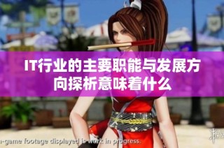 IT行业的主要职能与发展方向探析意味着什么