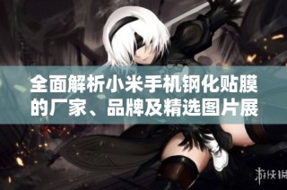 全面解析小米手机钢化贴膜的厂家、品牌及精选图片展示