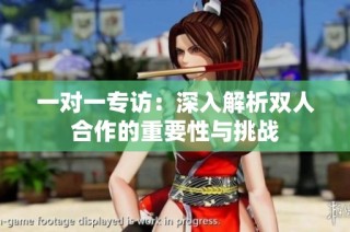 一对一专访：深入解析双人合作的重要性与挑战
