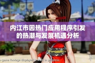 内江市因热门应用程序引发的热潮与发展机遇分析