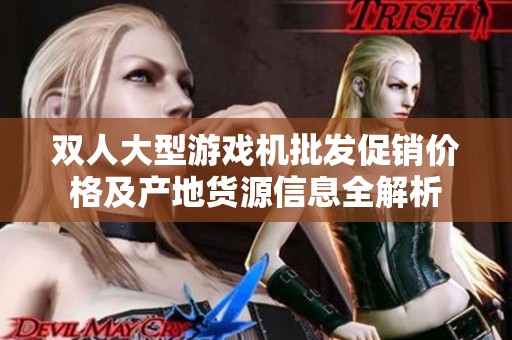 双人大型游戏机批发促销价格及产地货源信息全解析