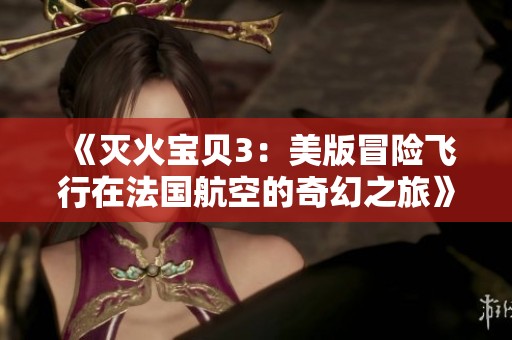 《灭火宝贝3：美版冒险飞行在法国航空的奇幻之旅》