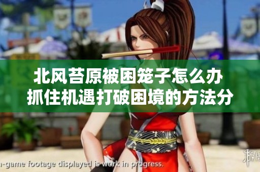 北风苔原被困笼子怎么办 抓住机遇打破困境的方法分享