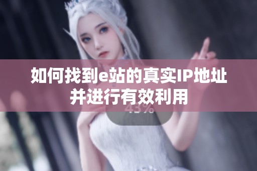 如何找到e站的真实IP地址并进行有效利用