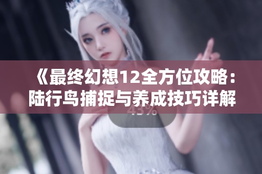 《最终幻想12全方位攻略：陆行鸟捕捉与养成技巧详解》