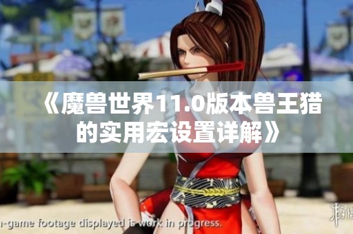 《魔兽世界11.0版本兽王猎的实用宏设置详解》