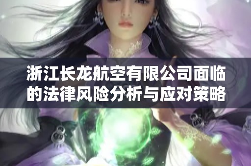 浙江长龙航空有限公司面临的法律风险分析与应对策略探讨