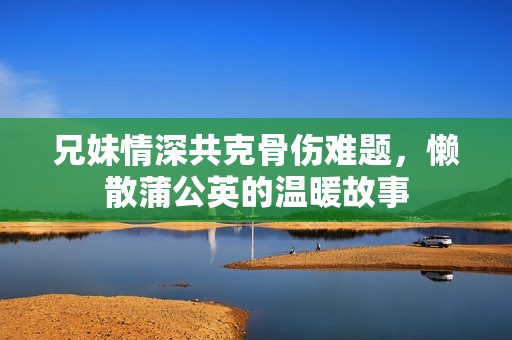 兄妹情深共克骨伤难题，懒散蒲公英的温暖故事