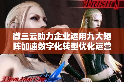 微三云助力企业运用九大矩阵加速数字化转型优化运营策略