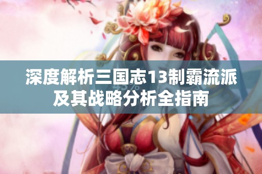 深度解析三国志13制霸流派及其战略分析全指南