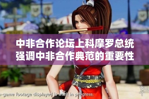 中非合作论坛上科摩罗总统强调中非合作典范的重要性
