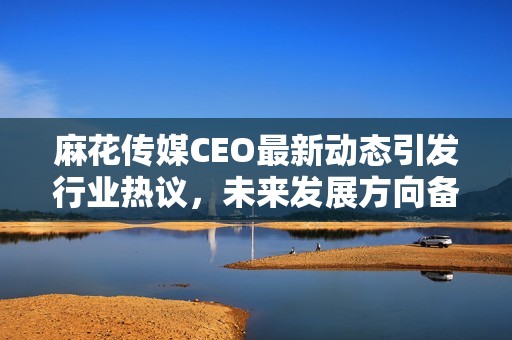 麻花传媒CEO最新动态引发行业热议，未来发展方向备受关注