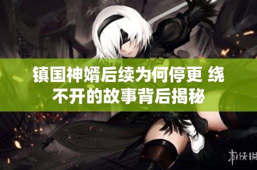 镇国神婿后续为何停更 绕不开的故事背后揭秘