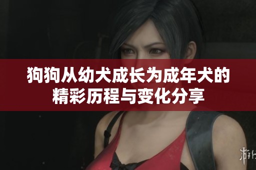 狗狗从幼犬成长为成年犬的精彩历程与变化分享 狗狗从幼犬成长为成年犬的精彩历程与变化分享