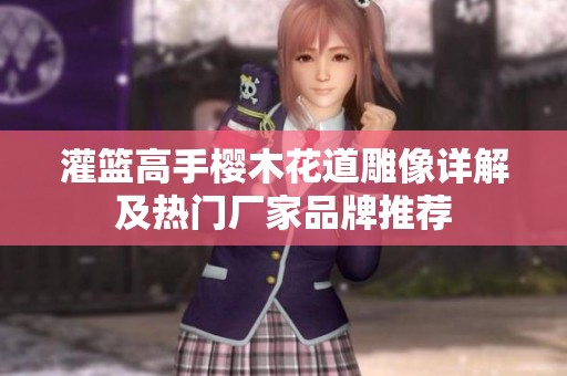 灌篮高手樱木花道雕像详解及热门厂家品牌推荐