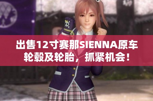 出售12寸赛那SIENNA原车轮毂及轮胎，抓紧机会！
