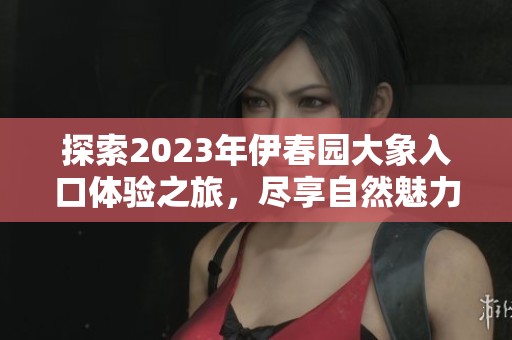 探索2023年伊春园大象入口体验之旅，尽享自然魅力