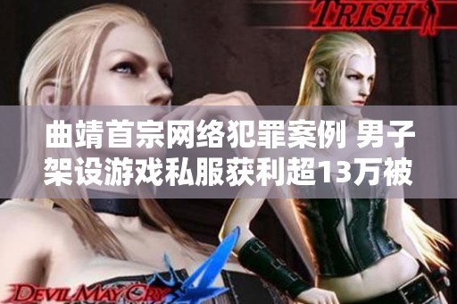 曲靖首宗网络犯罪案例 男子架设游戏私服获利超13万被刑拘