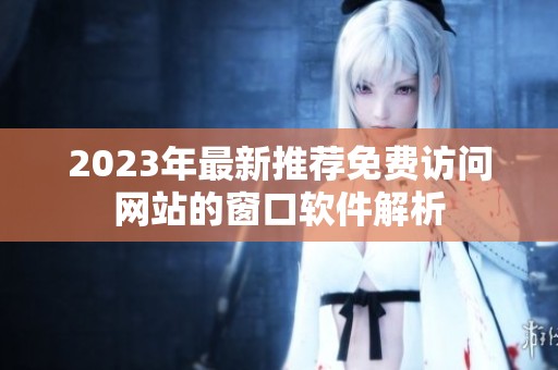 2023年最新推荐免费访问网站的窗口软件解析