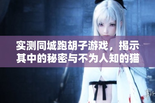 实测同城跑胡子游戏，揭示其中的秘密与不为人知的猫腻