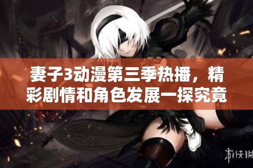 妻子3动漫第三季热播，精彩剧情和角色发展一探究竟