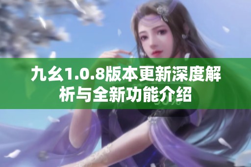 九幺1.0.8版本更新深度解析与全新功能介绍