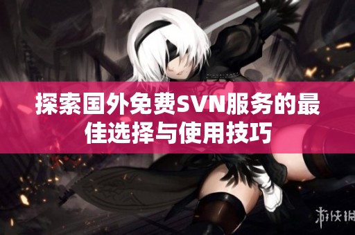 探索国外免费SVN服务的最佳选择与使用技巧