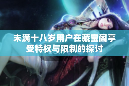 未满十八岁用户在藏宝阁享受特权与限制的探讨