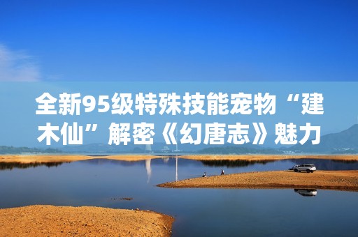 全新95级特殊技能宠物“建木仙”解密《幻唐志》魅力所在