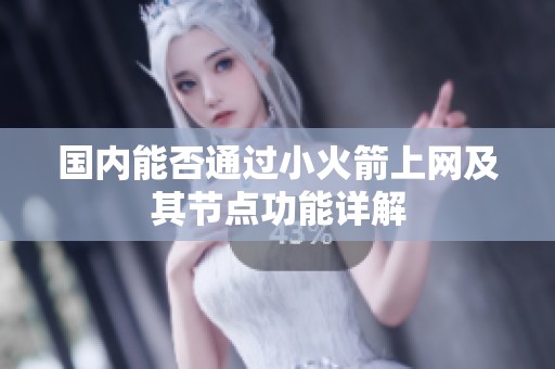 国内能否通过小火箭上网及其节点功能详解