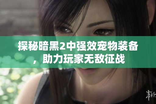 探秘暗黑2中强效宠物装备，助力玩家无敌征战