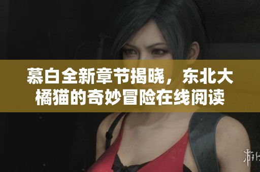 慕白全新章节揭晓，东北大橘猫的奇妙冒险在线阅读