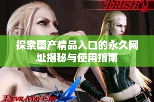 探索国产精品入口的永久网址揭秘与使用指南