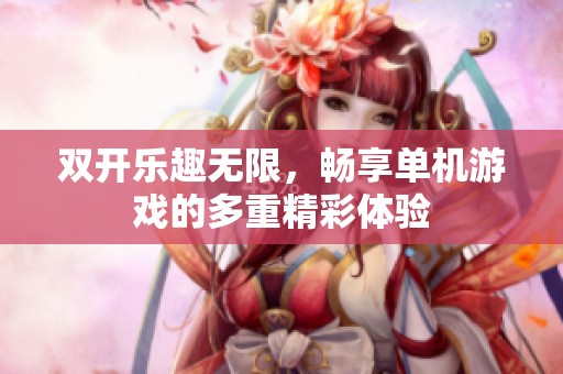 双开乐趣无限，畅享单机游戏的多重精彩体验