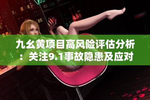 九幺黄项目高风险评估分析：关注9.1事故隐患及应对策略