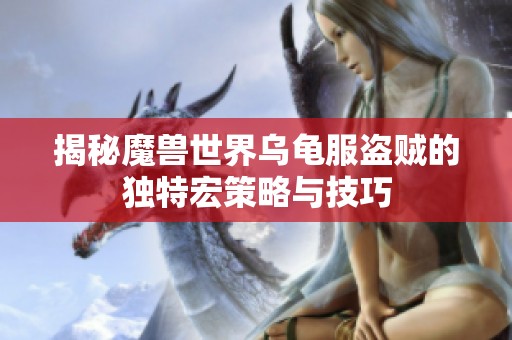揭秘魔兽世界乌龟服盗贼的独特宏策略与技巧