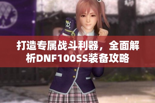 打造专属战斗利器，全面解析DNF100SS装备攻略