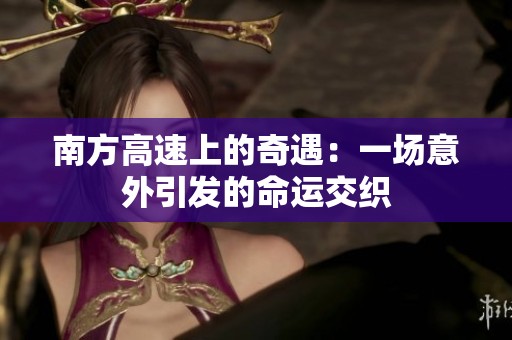 南方高速上的奇遇：一场意外引发的命运交织