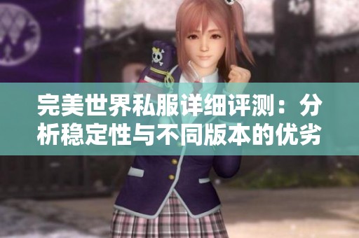 完美世界私服详细评测：分析稳定性与不同版本的优劣选择